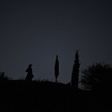 zurchaudefonds-144406