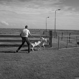 Terschelling-9157
