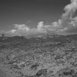 Terschelling-9200