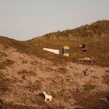 zurterschelling-137219