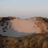 zurterschelling-137236