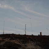 zurterschelling-137243