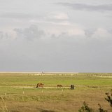 zurterschelling-137550